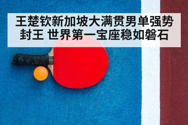 table tennis racket